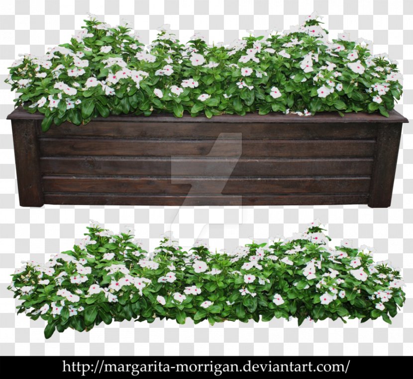 Modern Shrub Rose Flowerpot Plant Tree - Flower Pot Transparent PNG