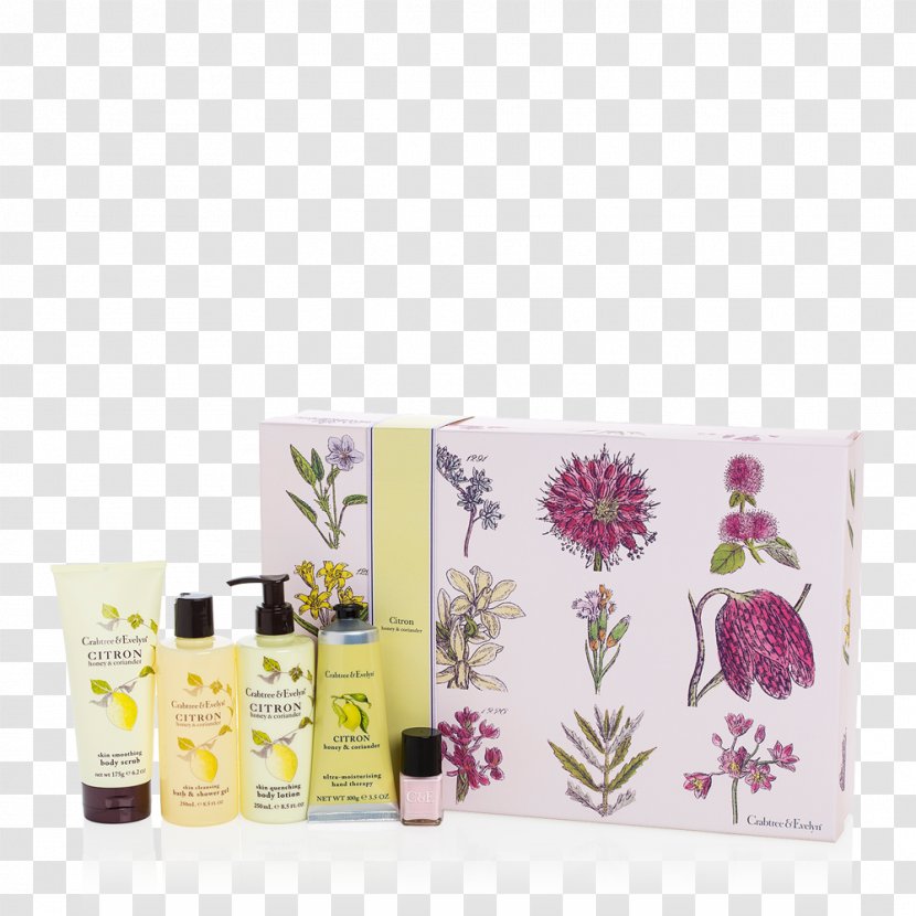 Lotion Cosmetics Cream Health Moisturizer - Perfume - Coriander Transparent PNG