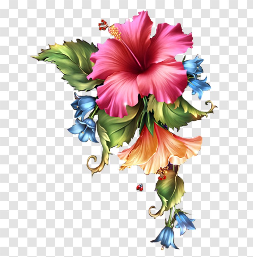 Rosemallows Flower Clip Art - Information - Bloosom Transparent PNG