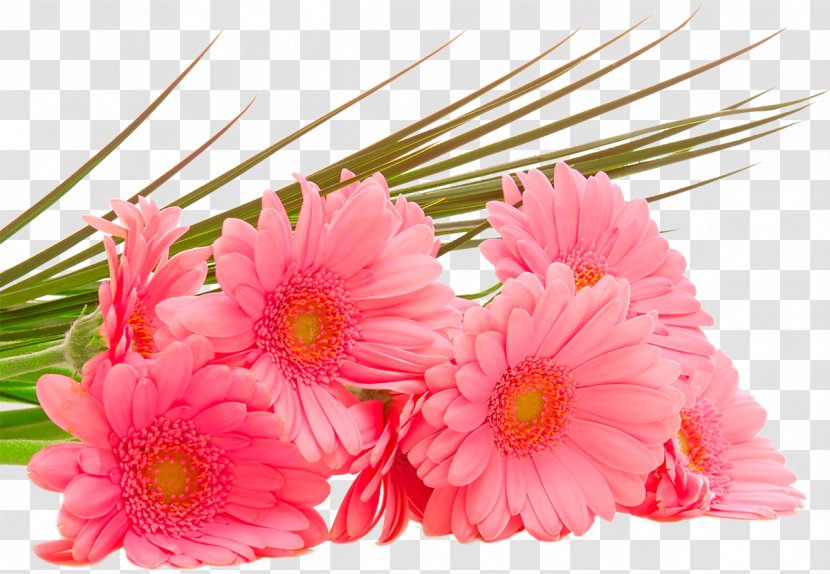 Flower Bouquet Desktop Wallpaper Display Resolution High-definition Television - Daisy Family - Chrysanthemum Transparent PNG