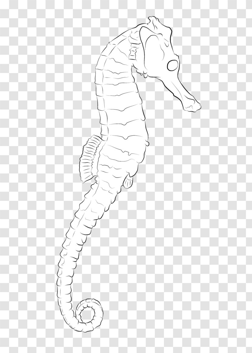 Seahorse Line Art Pipefishes And Allies Drawing /m/02csf - Neck - Sea Horse Transparent PNG