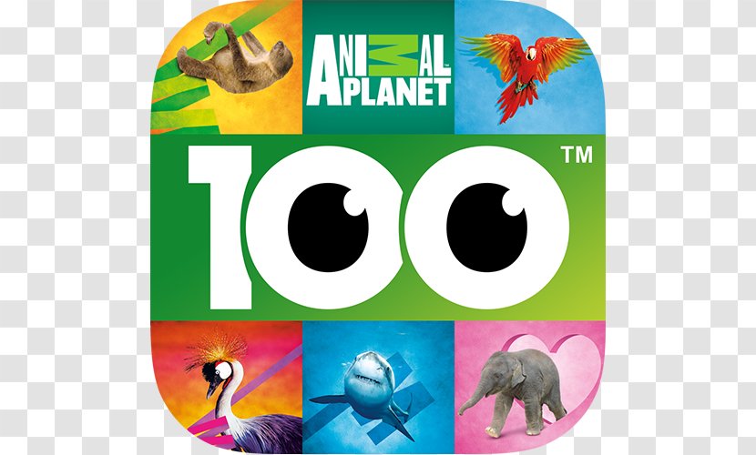 100 PICS Quiz - Game - Guess The Picture Trivia Games Letters+Words Letters & WordsAnimal Planet Transparent PNG