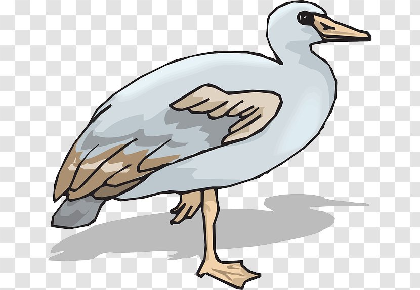 Duck Goose Clip Art - Wildlife Transparent PNG