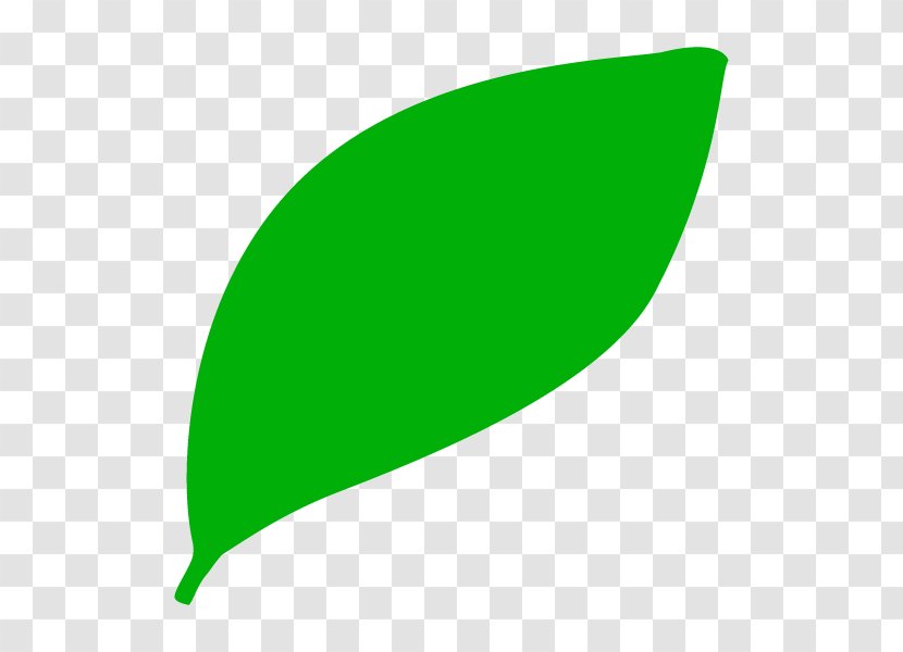 Illustration Leaf Graphics Plants Product Design Transparent PNG