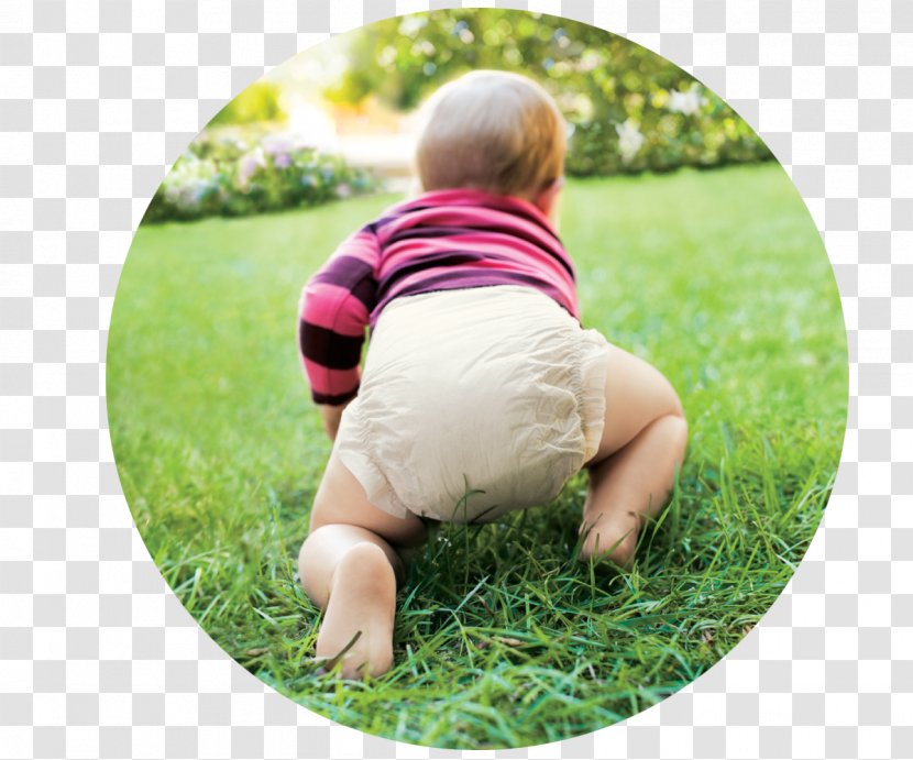 GDiaper Seventh Generation, Inc. Infant Huggies - Child - Diaper Baby Transparent PNG