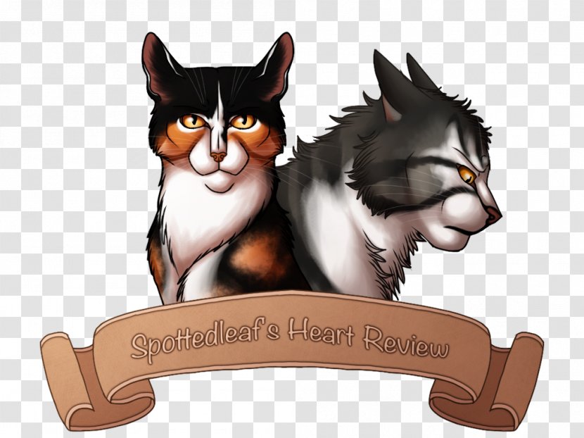 Warriors Kitten Whiskers Spottedleaf Erin Hunter - Cat Transparent PNG