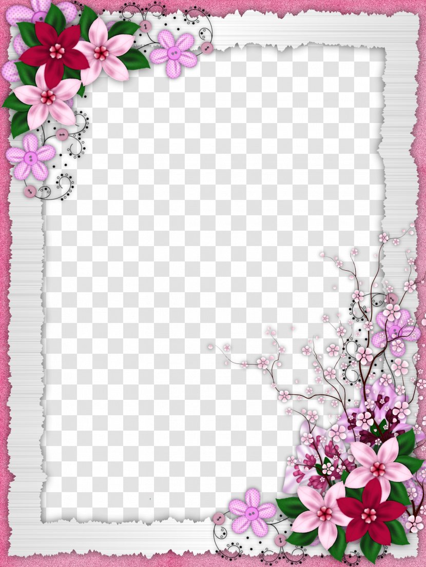 Flower Picture Frame - Floral Border Design Transparent PNG