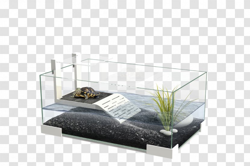 Turtle Reptile Aquarium Terrarium Terrapin - Heater - Baltimore Transparent PNG