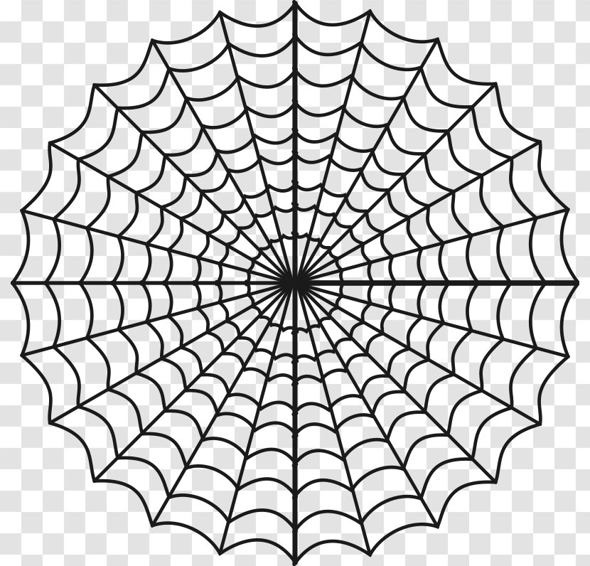 Spider Web Coloring Book Child Clip Art - Tree Transparent PNG