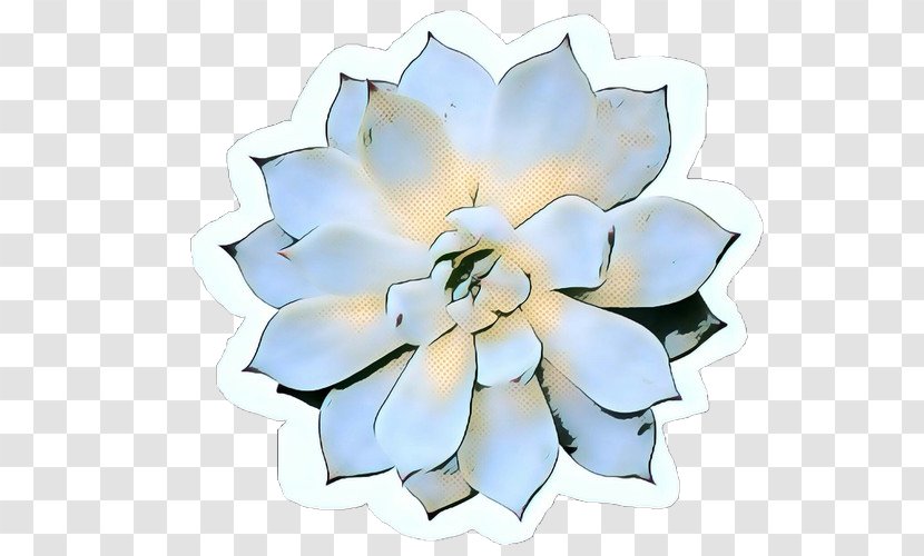 Flowers Background - Echeveria - Magnolia Gardenia Transparent PNG