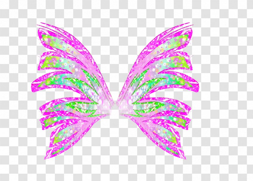 Butterfly Magenta Lilac Insect - Frame - Flora Transparent PNG