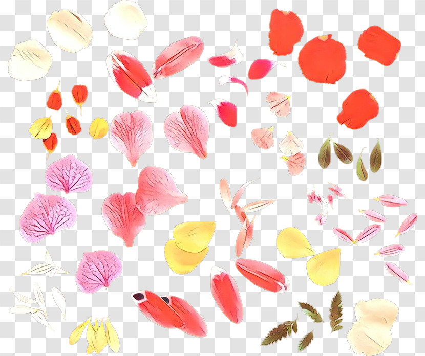 Petal Pink Leaf Plant Pattern Transparent PNG