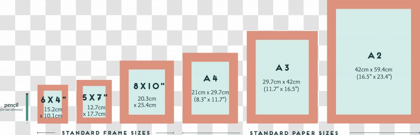 Graphic Design Brand - Text - Real Estate Size Chart Transparent PNG