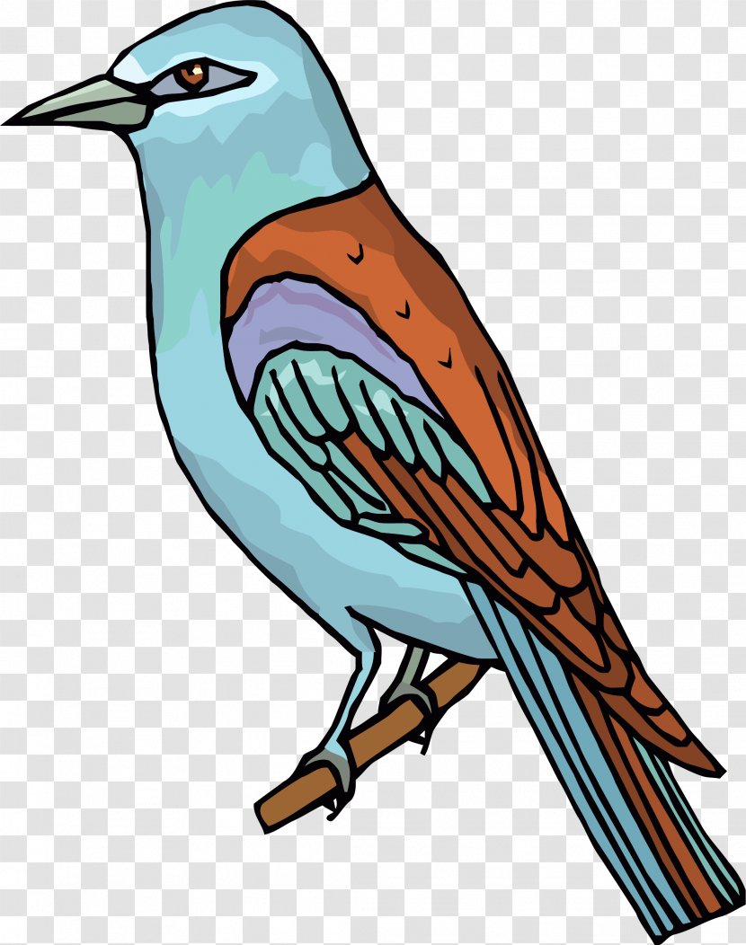 Bird Clip Art - Songbird Transparent PNG