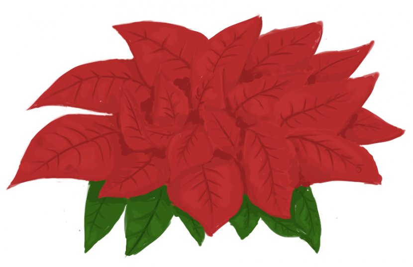 Poinsettia Paper Clip Art - Christmas - Poinsettias Pictures Transparent PNG