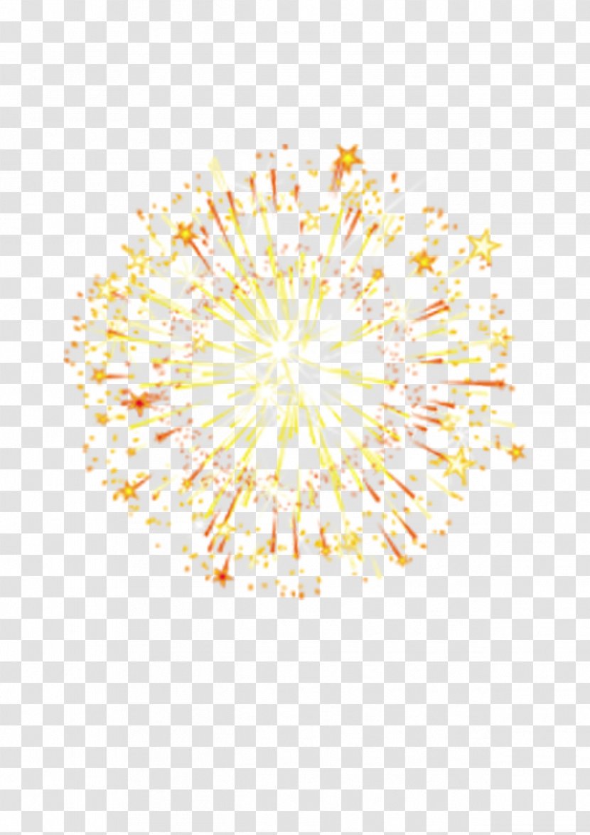 Sumidagawa Fireworks Festival Transparent PNG