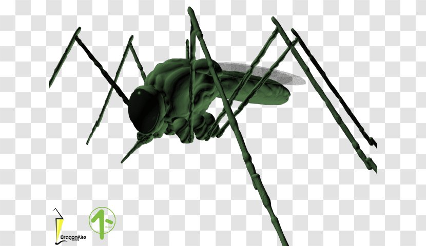 Cricket Insect Cloning Pest Game - Dragon Kite Transparent PNG