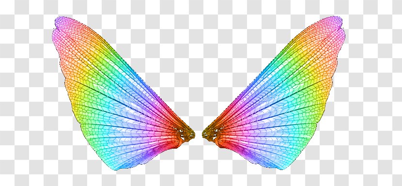 Butterfly Light Color Transparent PNG