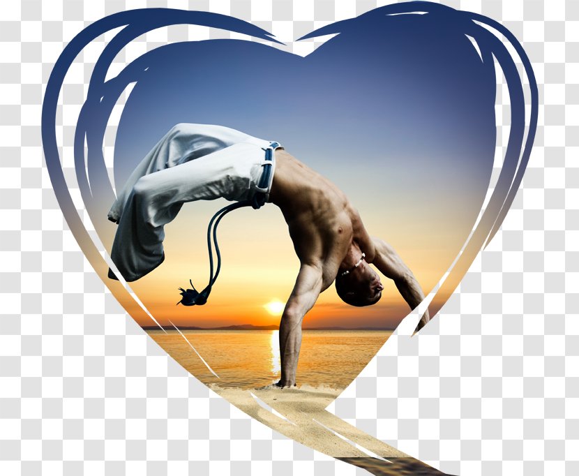 Image Desktop Wallpaper Horse JPEG Graphics - Parent - Capoeira Transparent PNG
