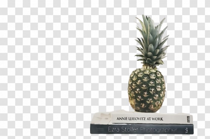 Pineapple - Poales - Food Transparent PNG