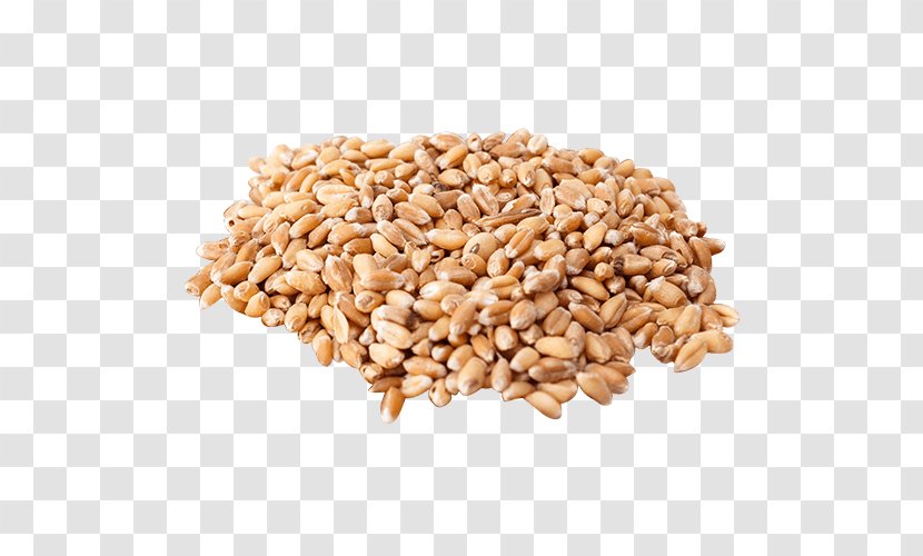 Organic Food Wheat Berry Cereal Grain Wheatgrass - Wholewheat Flour - Buckwheat 50 Lb Transparent PNG