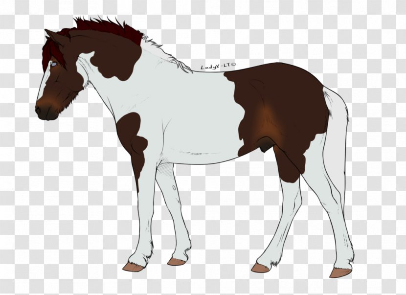 Foal Mane Stallion Rein Mustang - Horse Harnesses Transparent PNG