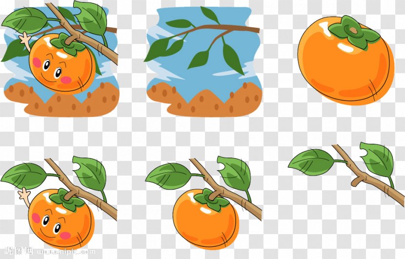 Persimmon Cartoon Illustration - Mandarin Orange - Happy Transparent PNG