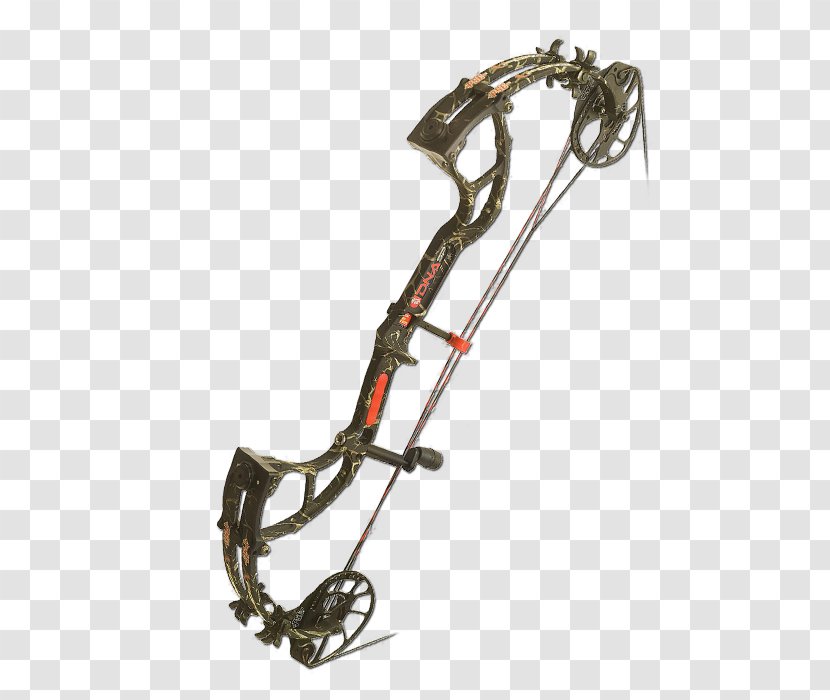 Crossbow Longbow Hunting PSE Archery - Tree - Bow Equipment Transparent PNG