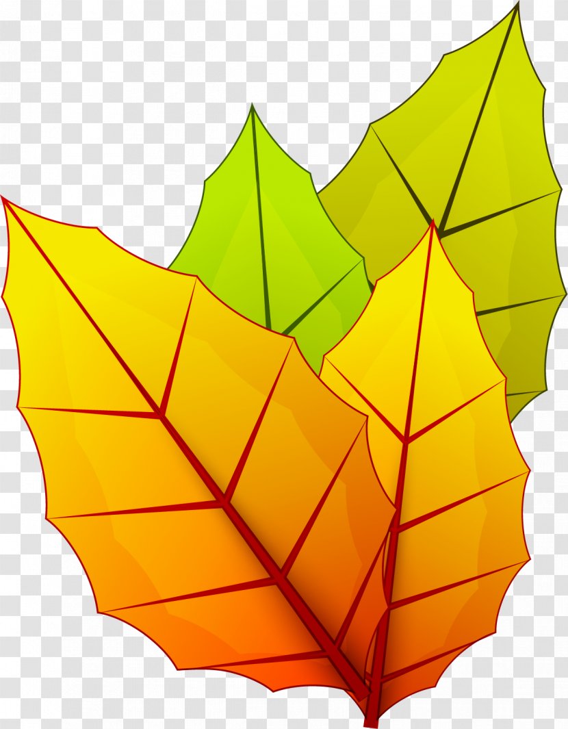 Leaf Autumn Computer File - Maple Transparent PNG