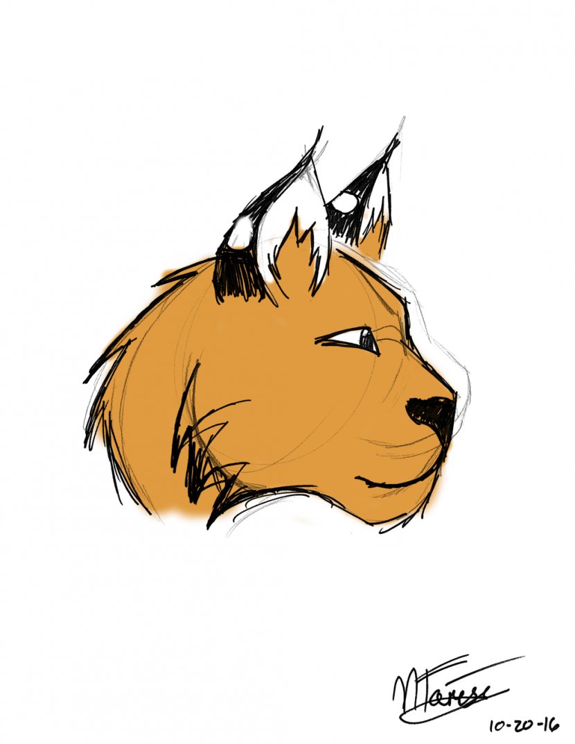 Cat Lion Mammal Carnivora Snout - Like - Lynx Transparent PNG