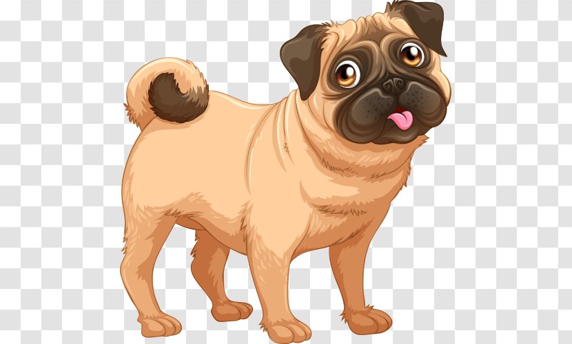 Pug Puppy Shar Pei Vector Graphics Stock Illustration - Carnivoran Transparent PNG