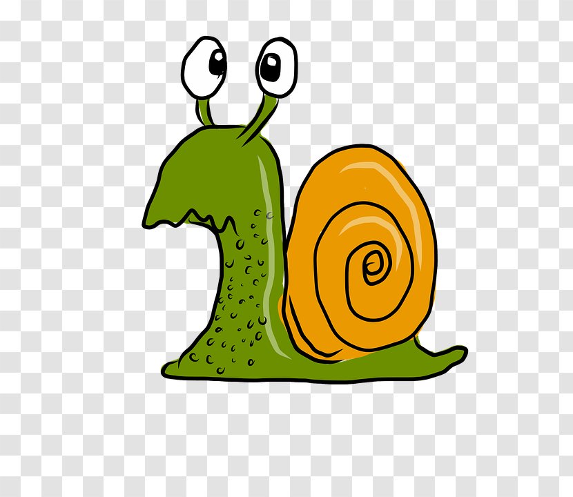 Snail Racing Schnecken Slug Clip Art Transparent PNG