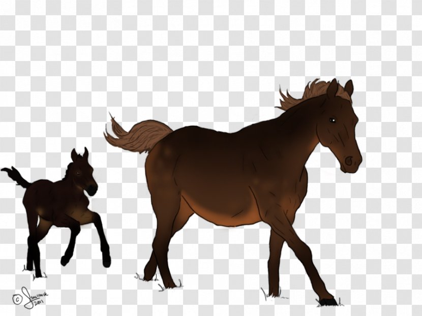 Mule Foal Mustang Mare Colt - Senegal National Football Team Transparent PNG