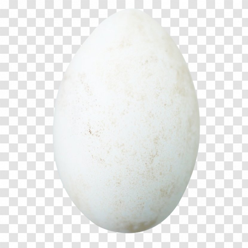 Domestic Goose Duck Egg - Ganso - A Transparent PNG
