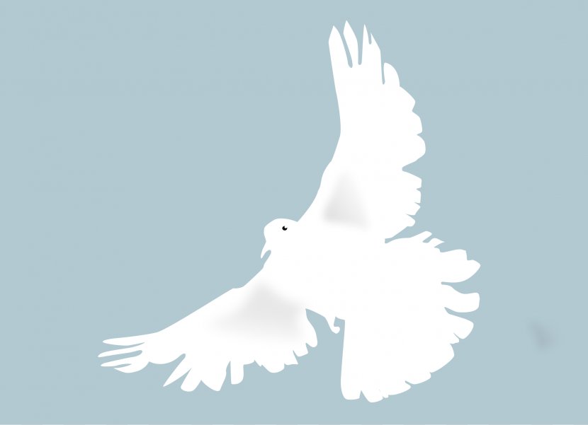 Columbidae Doves As Symbols Clip Art - Feather - Crave Cliparts Transparent PNG