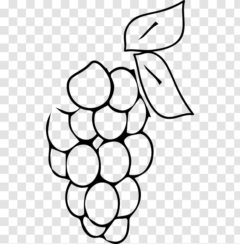 Grape Coloring Book Fruit Berry Drawing - Hand Transparent PNG