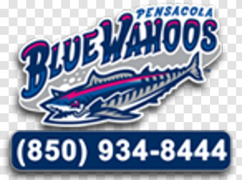 Admiral Mason Field Pensacola Blue Wahoos Cincinnati Reds Minor League Baseball - Brand Transparent PNG