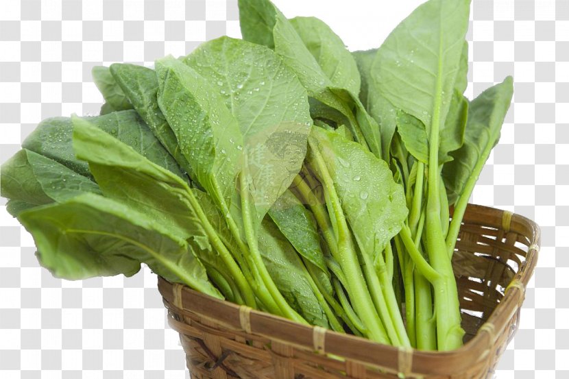Chinese Broccoli Spring Greens Vegetable Kale Spinach - Chard - The Basket Of Transparent PNG