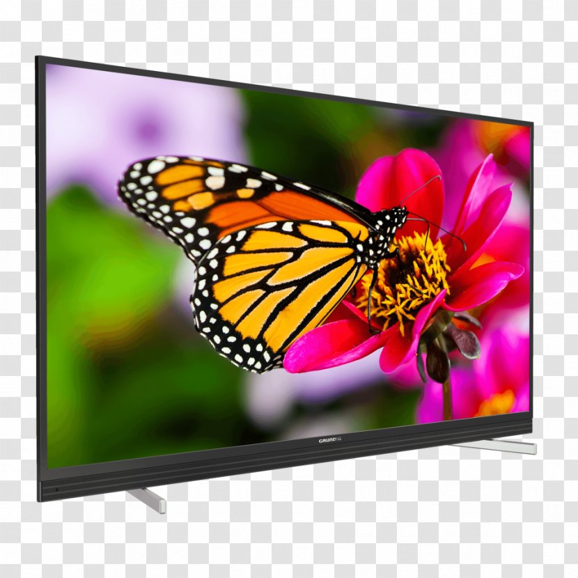 Butterfly Gardening Flower LED-backlit LCD Television - Insect - Led Tv Transparent PNG