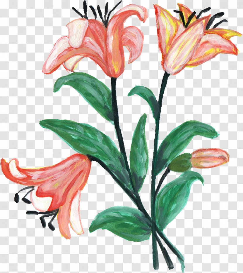 Cut Flowers Floral Design Floristry - Petal - Flower Paint Transparent PNG