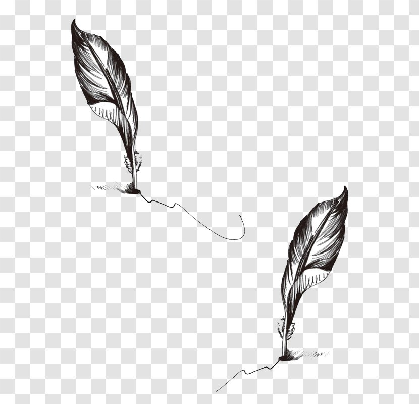 Paper Quill Feather Tattoo Pen - Leaf - Hand Painted Transparent PNG