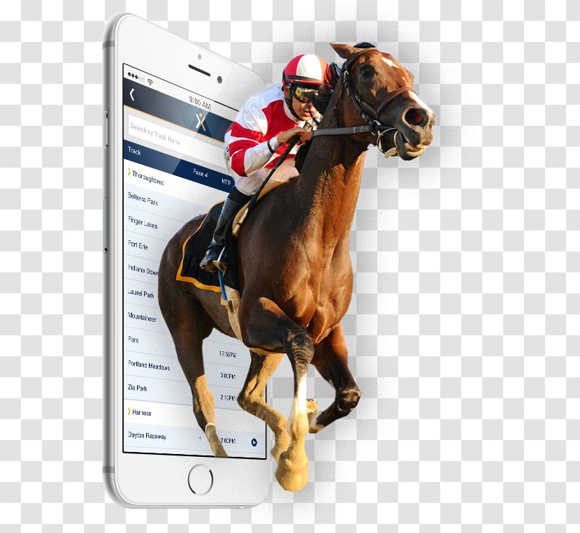 Horse Racing Xpressbet Inc Equestrian Jockey - Rein Transparent PNG
