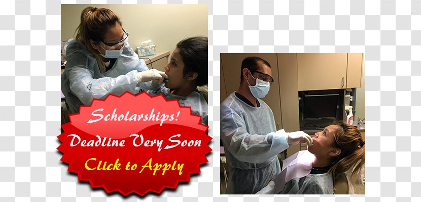 Dental Assistant Van Nuys Dog Breed Scholarship Dentist - Like Mammal Transparent PNG