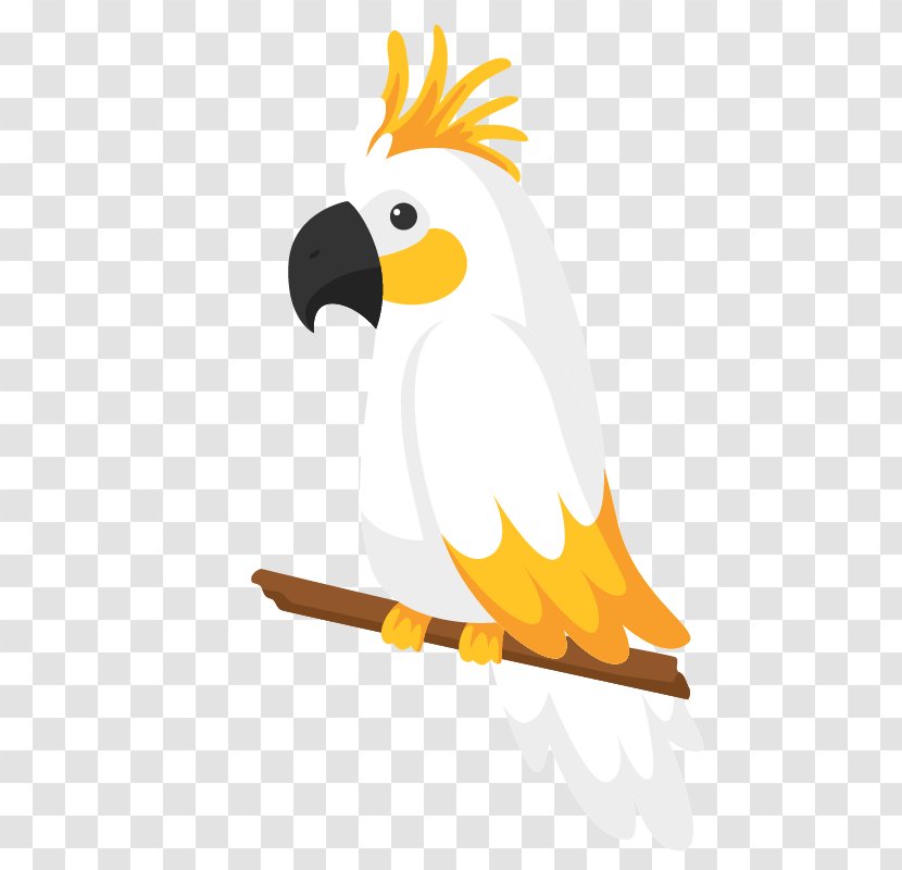Bird Euclidean Vector True Parrot - Vertebrate - Yellow Transparent PNG
