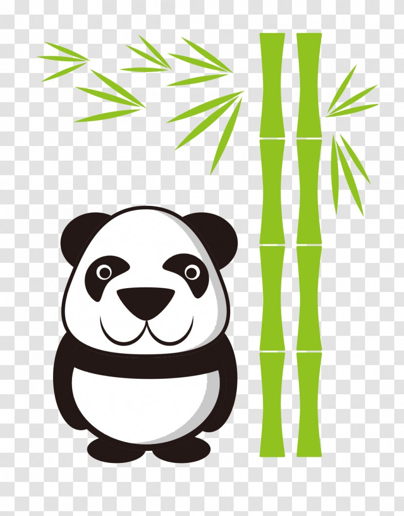 Giant Panda Cartoon Illustration - Carnivoran - And Bamboo Transparent PNG