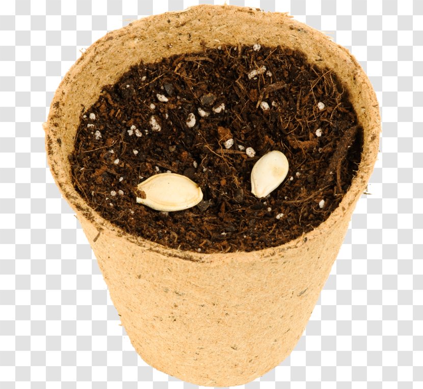 Soil Flowerpot - Zucchini Transparent PNG