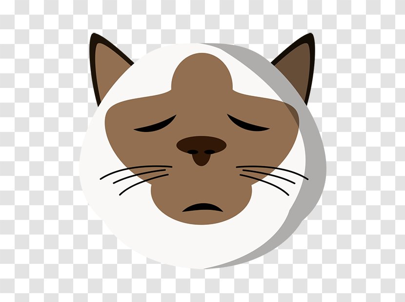 Whiskers Kitten Cat Snout Dog - Canidae Transparent PNG