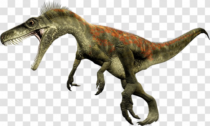 Herrerasaurus Staurikosaurus Theropods Eoraptor Lunensis Dinosaur Size Transparent PNG