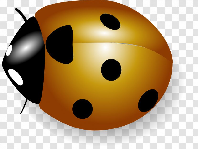 Download Ladybird Clip Art - Graphic Arts - Crawling Beetles Transparent PNG