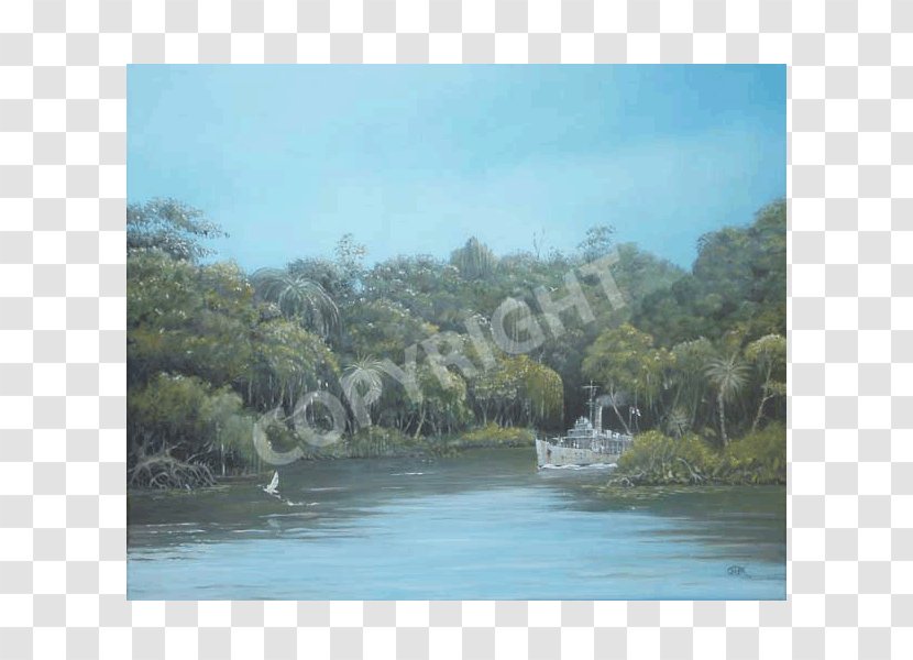 Water Resources Nature Reserve Loch Plant Community Vegetation - Sky Sea Transparent PNG